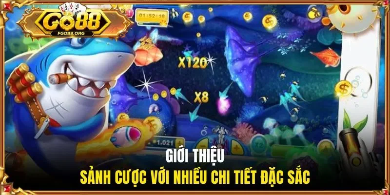 Giới thiệu sảnh cược với nhiều chi tiết đặc sắc
