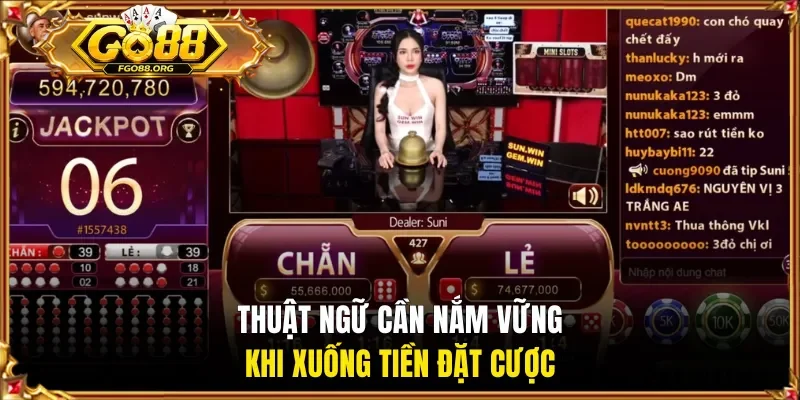 Thuật ngữ cần nắm vững khi xuống tiền đặt cược